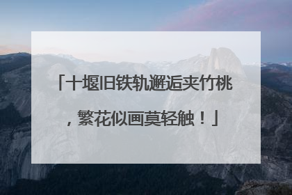 十堰旧铁轨邂逅夹竹桃，繁花似画莫轻触！