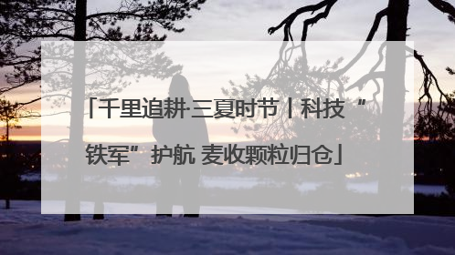 千里追耕·三夏时节丨科技“铁军”护航 麦收颗粒归仓