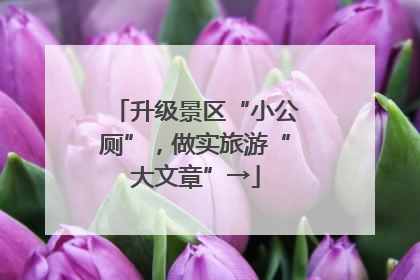升级景区“小公厕”，做实旅游“大文章”→