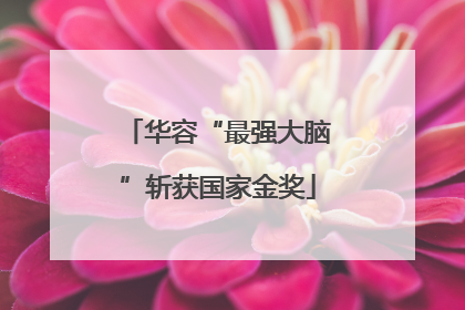 华容“最强大脑”斩获国家金奖