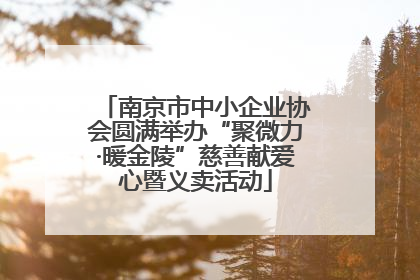 南京市中小企业协会圆满举办“聚微力·暖金陵”慈善献爱心暨义卖活动