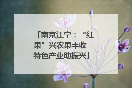 南京江宁：“红果”兴农果丰收 特色产业助振兴