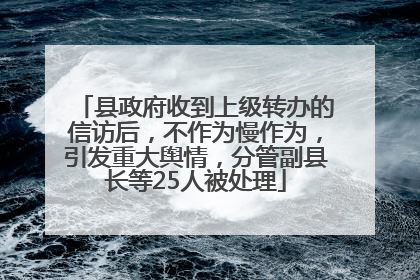 县政府收到上级转办的信访后，不作为慢作为，引发重大舆情，分管副县长等25人被处理