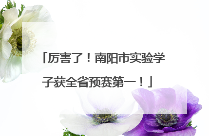 厉害了！南阳市实验学子获全省预赛第一！