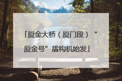 厦金大桥（厦门段）“厦金号”盾构机始发