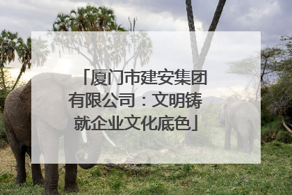厦门市建安集团有限公司：文明铸就企业文化底色