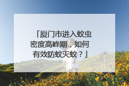厦门市进入蚊虫密度高峰期，如何有效防蚊灭蚊？