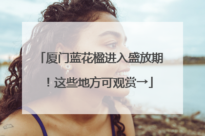 厦门蓝花楹进入盛放期！这些地方可观赏→