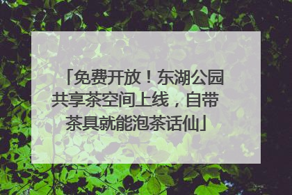 免费开放！东湖公园共享茶空间上线，自带茶具就能泡茶话仙