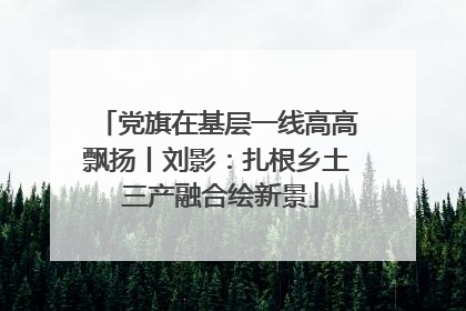 党旗在基层一线高高飘扬丨刘影：扎根乡土 三产融合绘新景