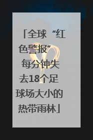 全球“红色警报”  每分钟失去18个足球场大小的热带雨林