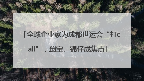 全球企业家为成都世运会“打call”，蜀宝、锦仔成焦点