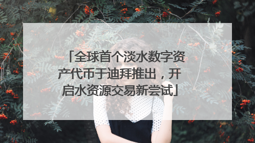 全球首个淡水数字资产代币于迪拜推出，开启水资源交易新尝试