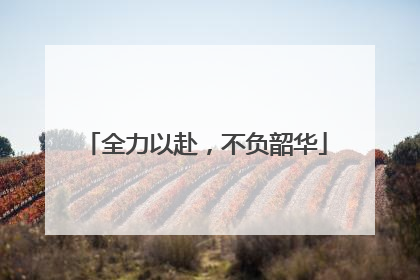 全力以赴，不负韶华