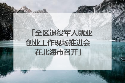 全区退役军人就业创业工作现场推进会在北海市召开