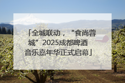 全城联动，“食尚蓉城”2025成都啤酒音乐嘉年华正式启幕