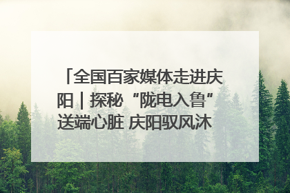 全国百家媒体走进庆阳｜探秘“陇电入鲁”送端心脏 庆阳驭风沐光点亮齐鲁万家
