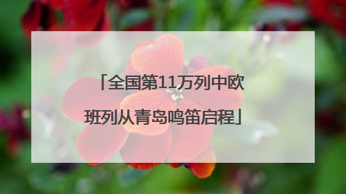 全国第11万列中欧班列从青岛鸣笛启程