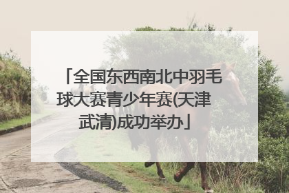 全国东西南北中羽毛球大赛青少年赛(天津武清)成功举办