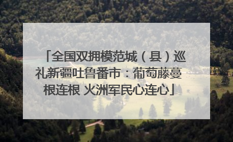 全国双拥模范城（县）巡礼新疆吐鲁番市：葡萄藤蔓根连根 火洲军民心连心