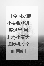 全国夏粮小麦收获进度过半 河北冬小麦大规模机收全面启动