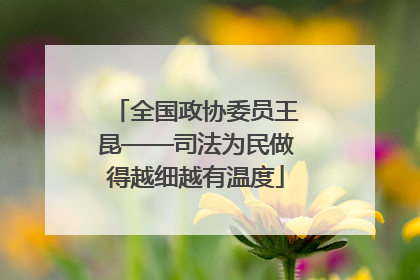 全国政协委员王昆——司法为民做得越细越有温度
