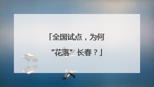 全国试点，为何“花落”长春？