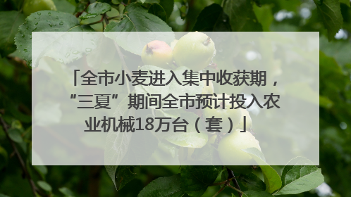 全市小麦进入集中收获期，“三夏”期间全市预计投入农业机械18万台（套）