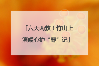 六天两救！竹山上演暖心护“野”记