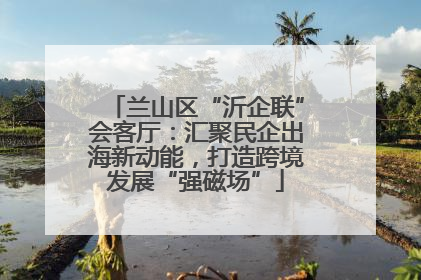 兰山区“沂企联”会客厅：汇聚民企出海新动能，打造跨境发展“强磁场”