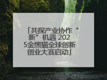 共探产业协作“新”机遇 2025金熊猫全球创新创业大赛启动