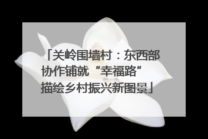 关岭围墙村：东西部协作铺就“幸福路” 描绘乡村振兴新图景