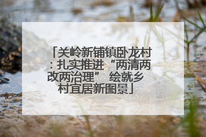 关岭新铺镇卧龙村：扎实推进“两清两改两治理” 绘就乡村宜居新图景