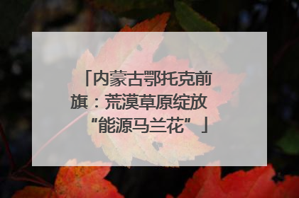 内蒙古鄂托克前旗：荒漠草原绽放“能源马兰花”