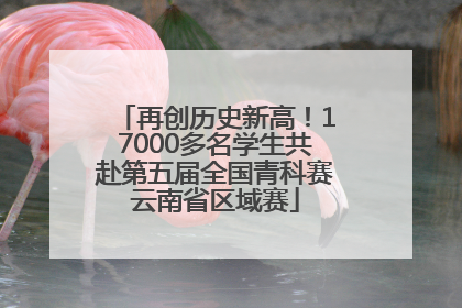 再创历史新高！17000多名学生共赴第五届全国青科赛云南省区域赛