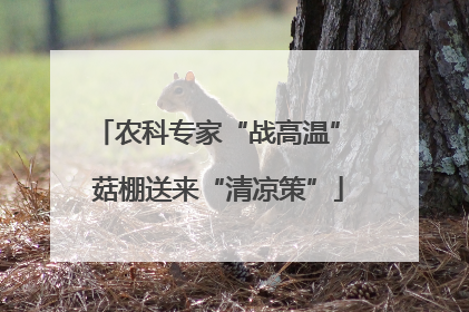 农科专家“战高温” 菇棚送来“清凉策”