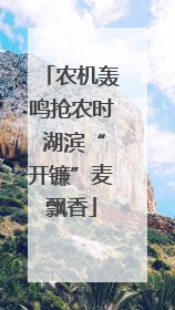 农机轰鸣抢农时 湖滨“开镰”麦飘香