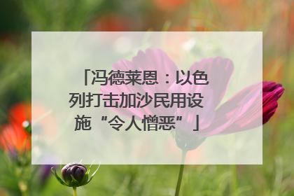 冯德莱恩：以色列打击加沙民用设施“令人憎恶”
