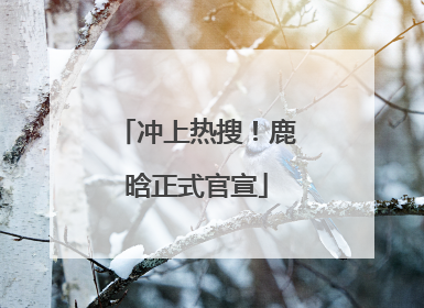 冲上热搜！鹿晗正式官宣