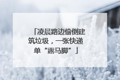 凌晨路边偷倒建筑垃圾，一张快递单“露马脚”