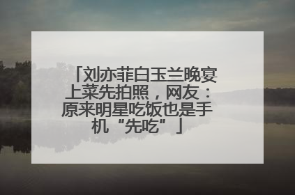 刘亦菲白玉兰晚宴上菜先拍照，网友：原来明星吃饭也是手机“先吃”