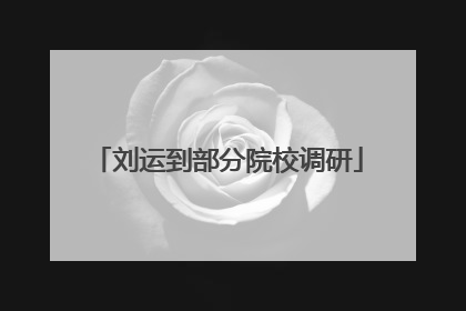 刘运到部分院校调研