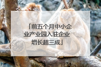 前五个月中小企业产业园入驻企业增长超三成