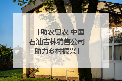 助农惠农 中国石油吉林销售公司助力乡村振兴