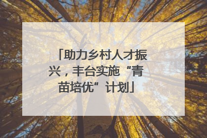 助力乡村人才振兴，丰台实施“青苗培优”计划