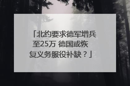 北约要求德军增兵至25万 德国或恢复义务服役补缺？