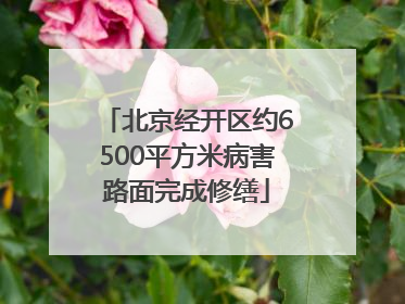 北京经开区约6500平方米病害路面完成修缮