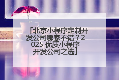 北京小程序定制开发公司哪家不错？2025 优质小程序开发公司之选
