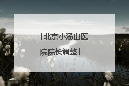 北京小汤山医院院长调整