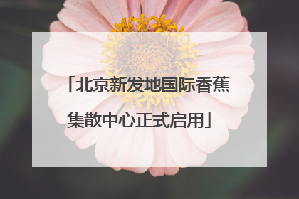 北京新发地国际香蕉集散中心正式启用